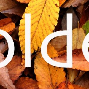Soldes